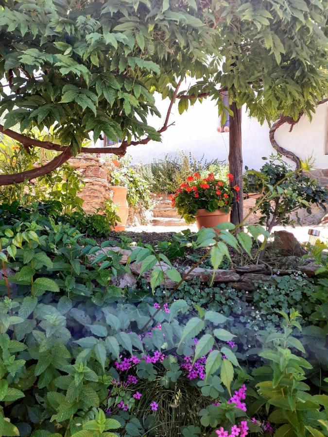 Cortijo Los Maximos Turon Exteriör bild