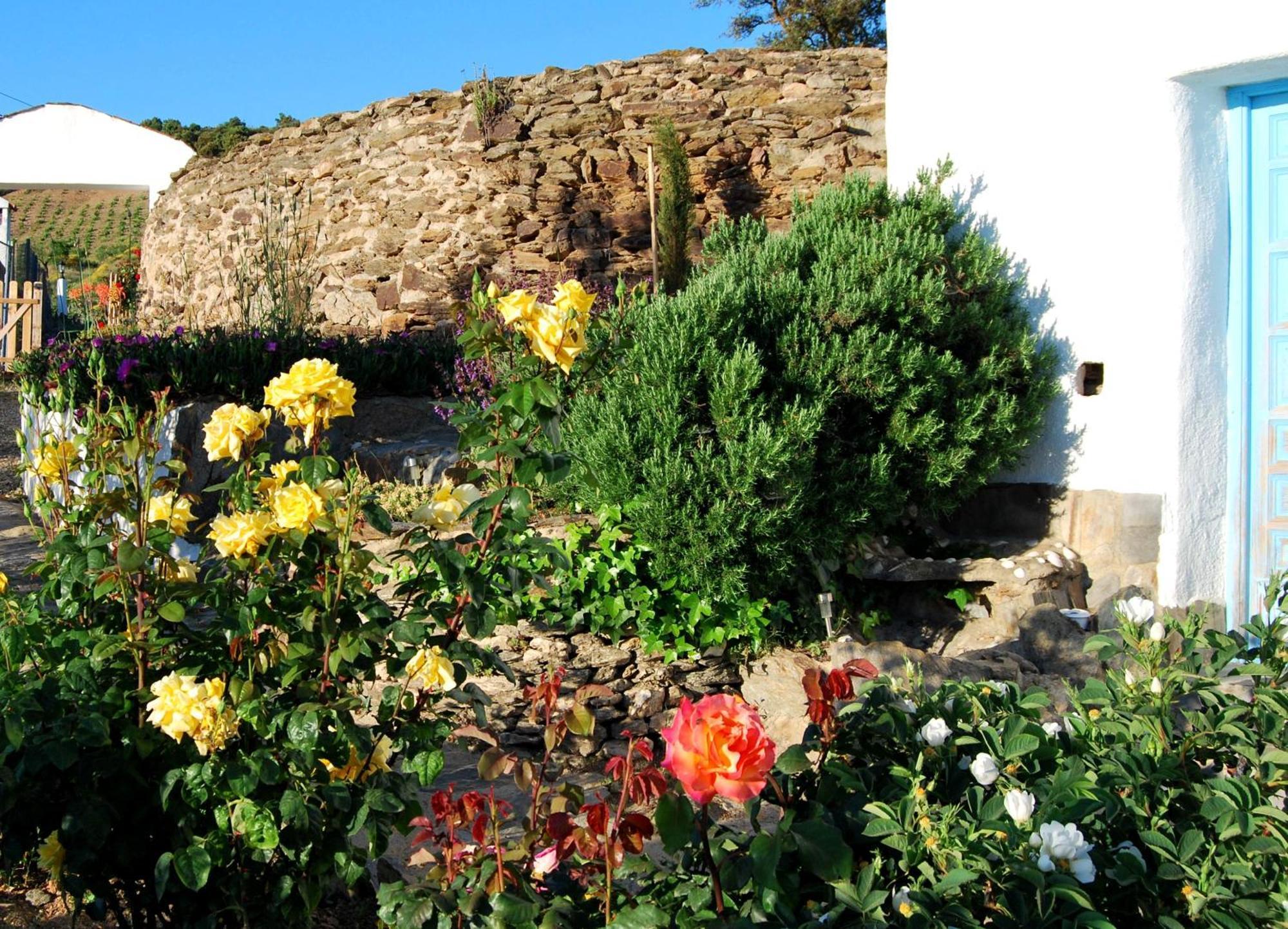 Cortijo Los Maximos Turon Exteriör bild