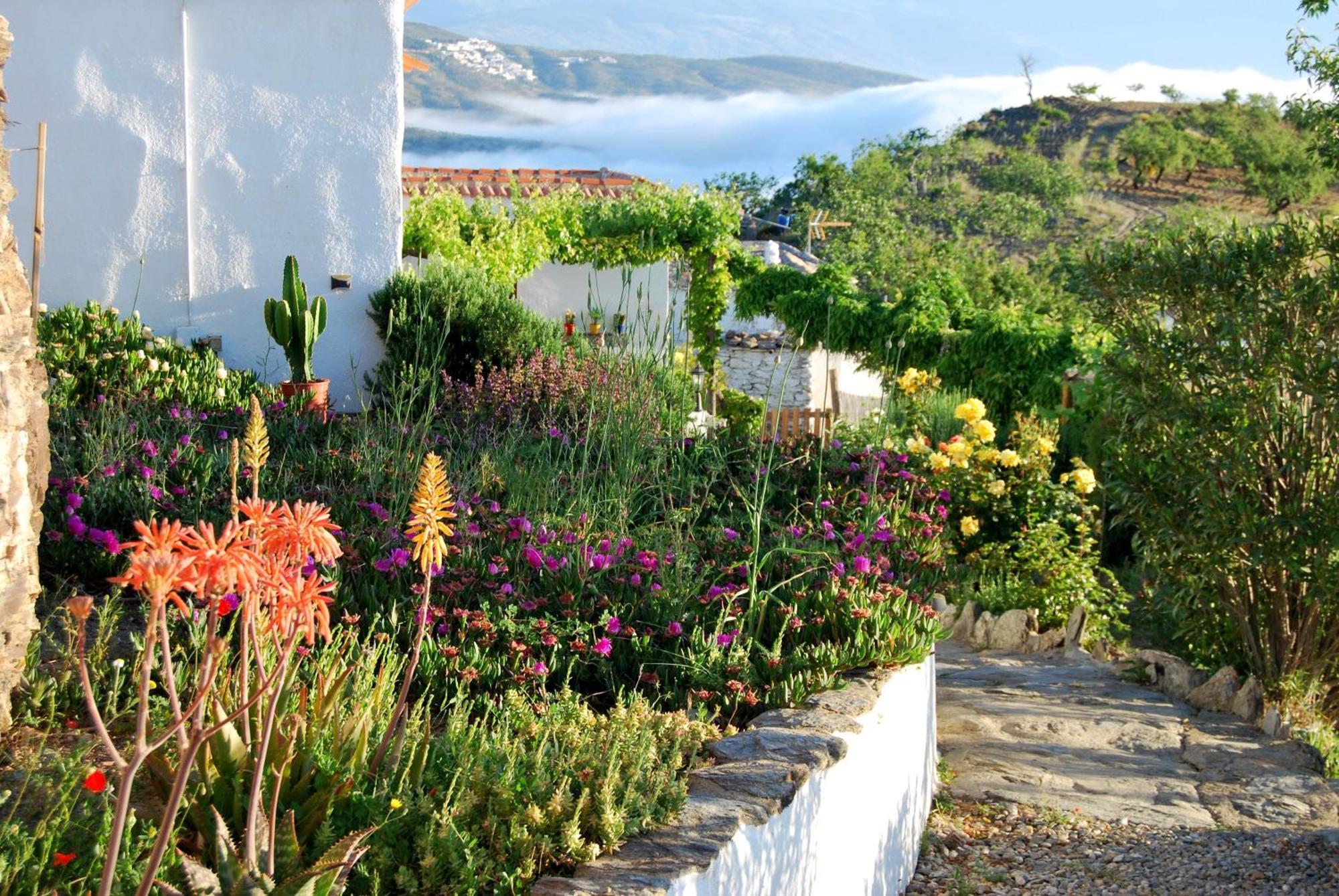 Cortijo Los Maximos Turon Exteriör bild