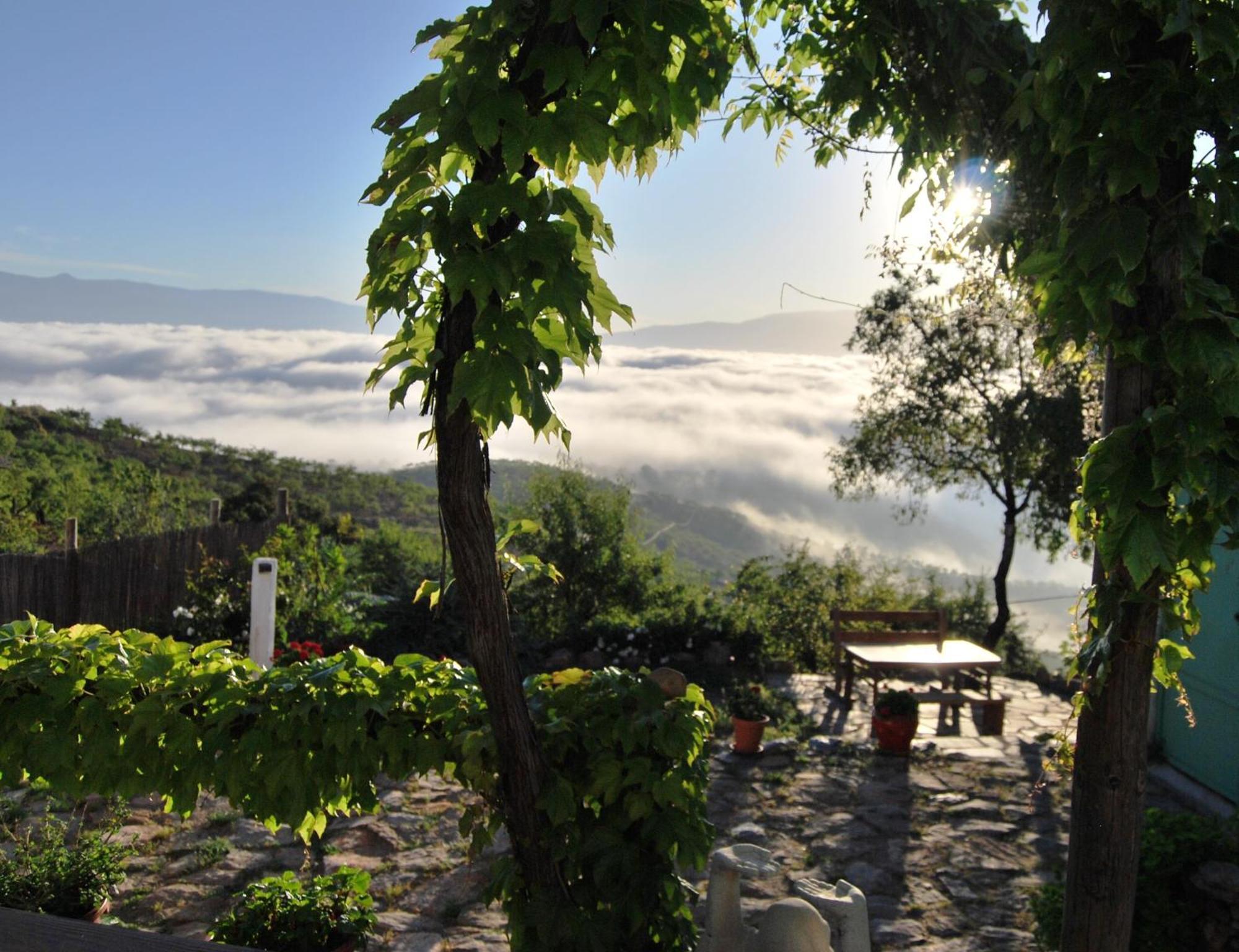 Cortijo Los Maximos Turon Exteriör bild