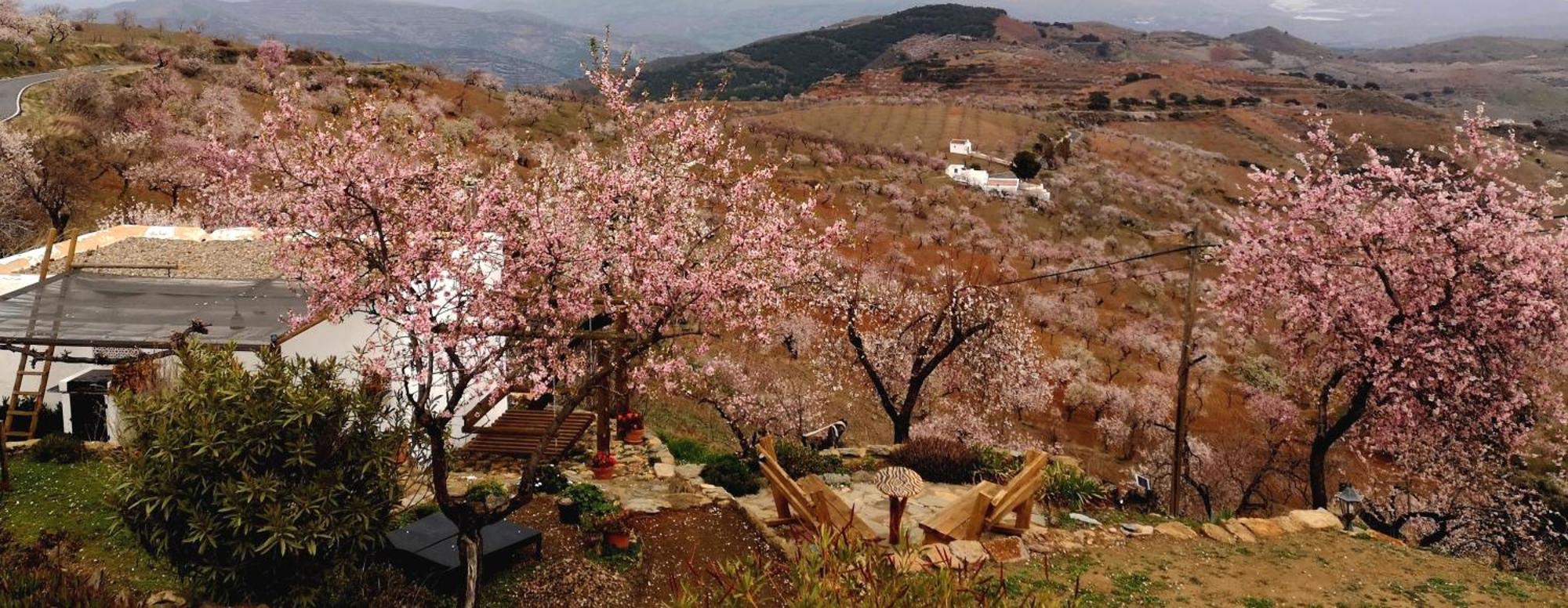 Cortijo Los Maximos Turon Exteriör bild
