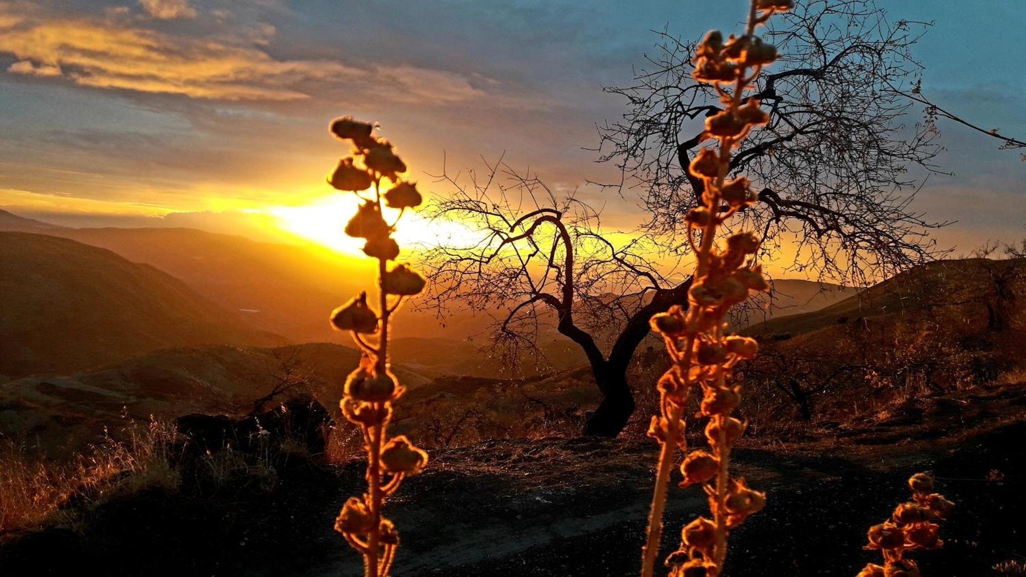 Cortijo Los Maximos Turon Exteriör bild