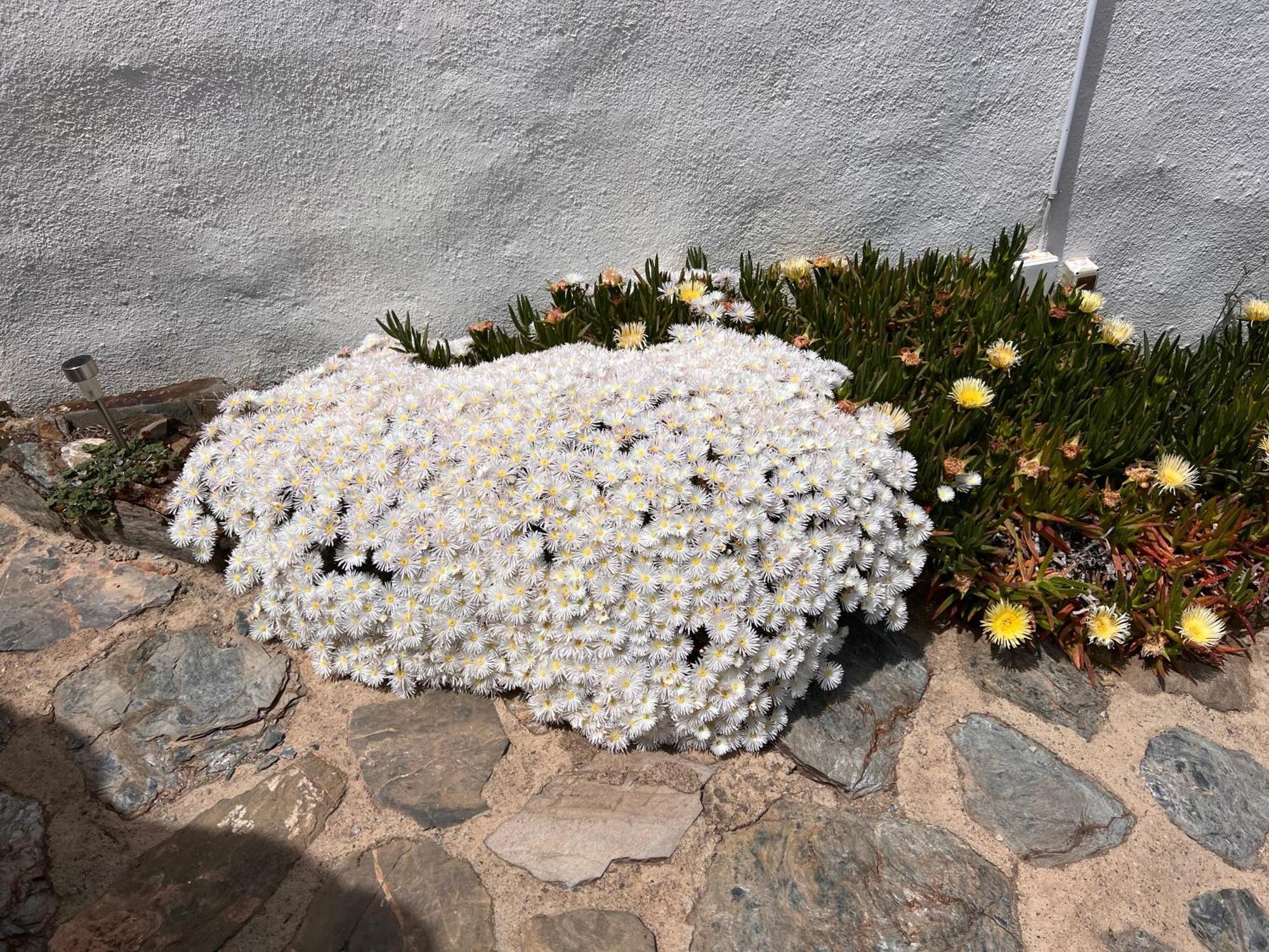 Cortijo Los Maximos Turon Exteriör bild