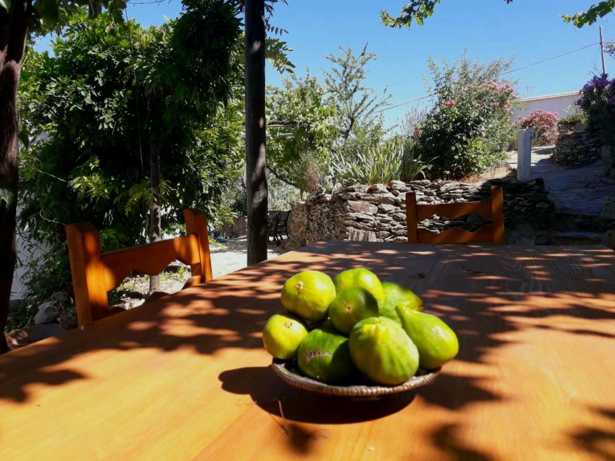 Cortijo Los Maximos Turon Exteriör bild